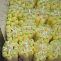 ابلیمو|خوردنی و آشامیدنی|اصفهان, باتون|دیوار