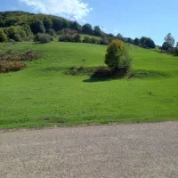 ملک زمین مسکونی بخش عمارلو|فروش زمین و ملک کلنگی|بره‌سر, |دیوار