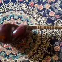 تار|سازهای سنتی|نکا, |دیوار