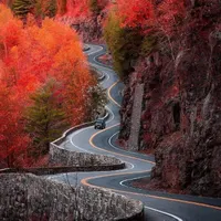 واحد ویلایی
