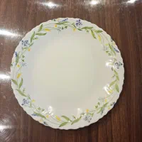 بشقاب آرکوپال