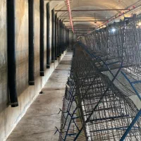 ۱۰۰۰۰ قفس مرغ منبری