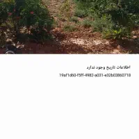 باغ ویلا ۵۰۰متره با ۳۰متره شیک