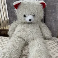 عروسک شاسخین