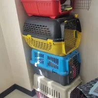 باکس سگ