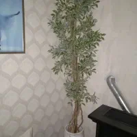 درختچه ی مصنوعی خارجی|گل مصنوعی|کهریزک, |دیوار