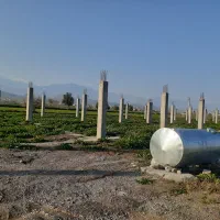 نگهبانی