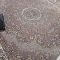 فرش گردویی|فرش|تربت‌حیدریه, حیدرآباد|دیوار