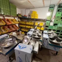 سبزی خورد کن صنعتی