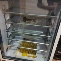 دستگاه جوجه کشی