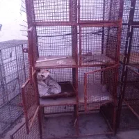 جفتگاه 8 عددی تمام فنس