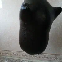 هیزه