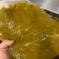 برگ مو فله ای
