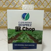 بذر چغندر