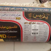 ۶ متری نو پاتریس زیر قیمت