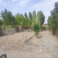 زمین باغچه ای|فروش زمین و ملک کلنگی|باقرشهر, |دیوار