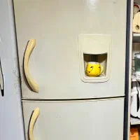 یخچال و فریزر برند الکترو استیل کاملا سالم