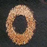 فرش شگی|فرش|شاهین‌شهر, شهرک گلدیس|دیوار