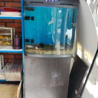 آکواریوم شرکتی سامپ دار