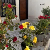 ویلایی-بازسازی-شده