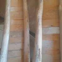 تخته کار نو|مصالح و تجهیزات ساختمان|نیشابور, گنبد سبز|دیوار