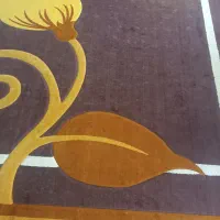 گلیم فرش و فرش دست دوم در حد نو|فرش|اردکان, |دیوار