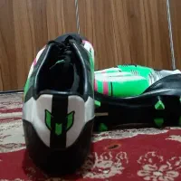 کفش استوک دار تاچارا