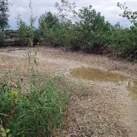 ۲۰هزار متر زمین جاده دریا گهرباران قابل ساخت ساز|فروش زمین و ملک کلنگی|طبقده, |دیوار