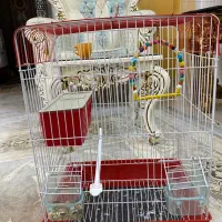قفس پرنده همراه با لوازم