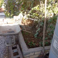 خانه باغ جاده کاشان|فروش خانه و ویلا|قنوات, |دیوار