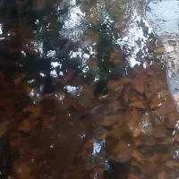 میز شیشه ای