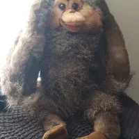 انواع گوریل های پشمالو برند وارداتی مناسب هدیه|اسباببازی بچه|پرند, فاز ۲|دیوار