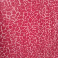 لباس و مانتو همه کفش|لباس|سنندج, |دیوار