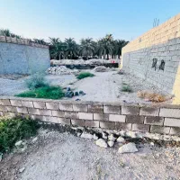 زمین مسکونی سند تک برگ