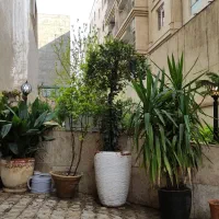 فروش مغازه در علت الدینی شهرقدس