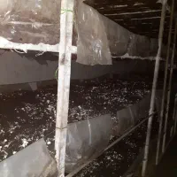 فروش تخلیه کمپوست  قارچ رایگان از  درب سالن