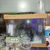 آکواریوم بخاری تصفیه پمپ  غذا ماهی و انواع ماهی