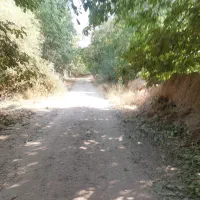 ۸۰۰متر باغ روستای اب انار|فروش خانه و ویلا|سیدان, |دیوار