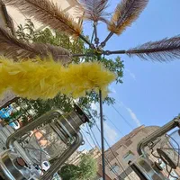 علامت /چلچراغ/ چهلچراغ|کلکسیون اشیاء عتیقه|تهران, مشیریه|دیوار