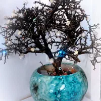 درختچه چشم نظر|گل مصنوعی|ایلام, |دیوار