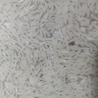 فجر سوزنی