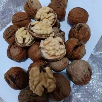 خرید گردو دانه ایی و کیلویی بصورت نقد با قیمت عالی|خدمات باغبانی و درختکاری|بجنورد, |دیوار