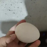 با سلام فروش تخم طاووس و تخم شتر مرغ نطفه دار