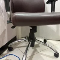 صندلی|صندلی و نیمکت|رشت, کاکتوس|دیوار