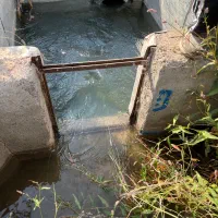 باغ انگور داربستی|فروش دفتر صنعتی، کشاورزی، تجاری|دشتابی, |دیوار