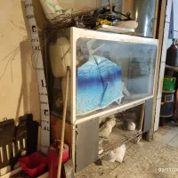 آکواریوم بزرگ ده میل