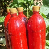 رب خانگی کاملا ارگانیک و بهداشتی
