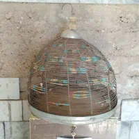 قفس ترقه و قناری|لوازم جانبی حیوانات|شیراز, حجت آباد|دیوار