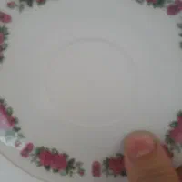 گل سرخی