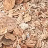 ۲تن نان خشک فروشی کیلو ۴۰